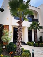 ویلای مدیترانه ای - تصویر 5